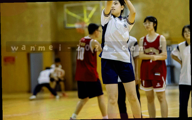 战术分析图表抽象图